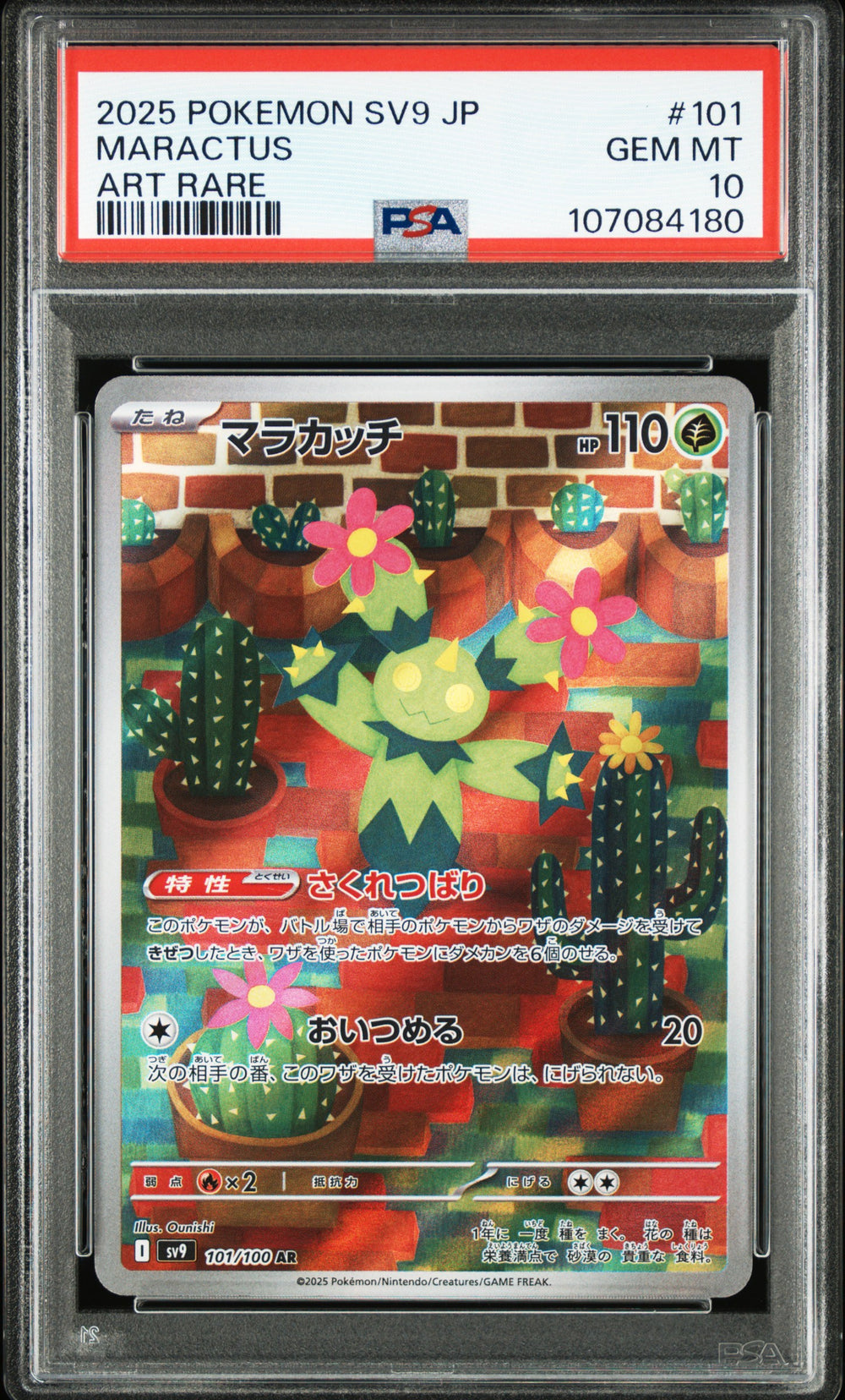 2025 Pokémon Japanese SV9 Battle Partners #101 Maractus Art Rare trendygifthk