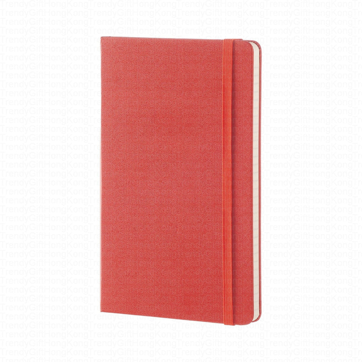 Moleskine Classic Notebook - Large Hardcover - 13 x 21 CM trendygifthk