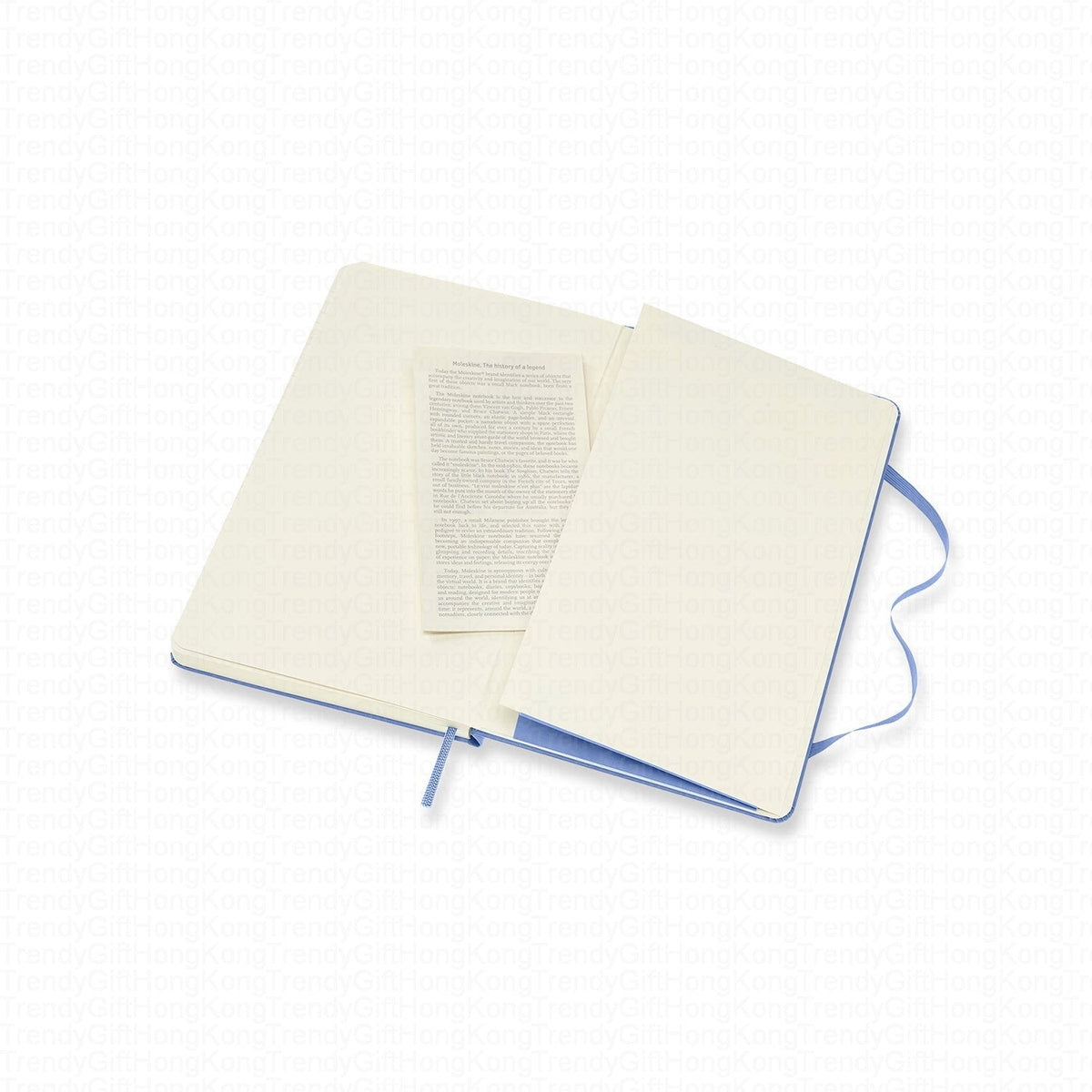 Moleskine Classic Notebook - Large Hardcover - 13 x 21 CM trendygifthk