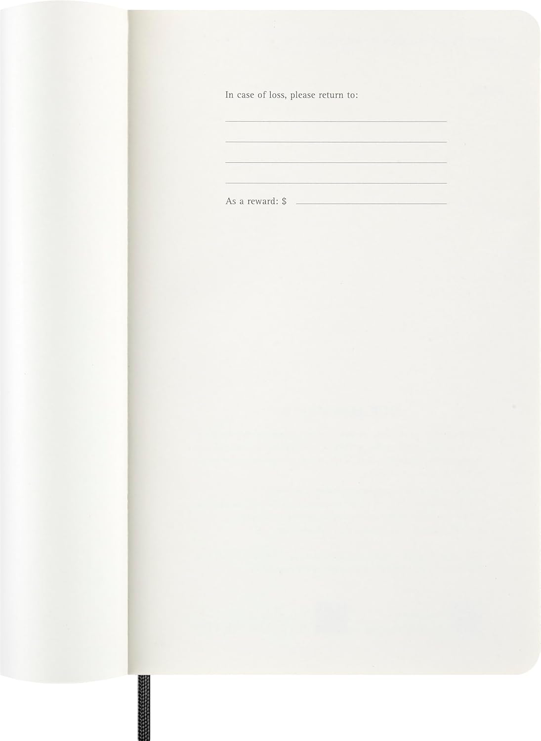 Moleskine Classic 2026 Weekly Planner - Large Size (13x21 cm)
