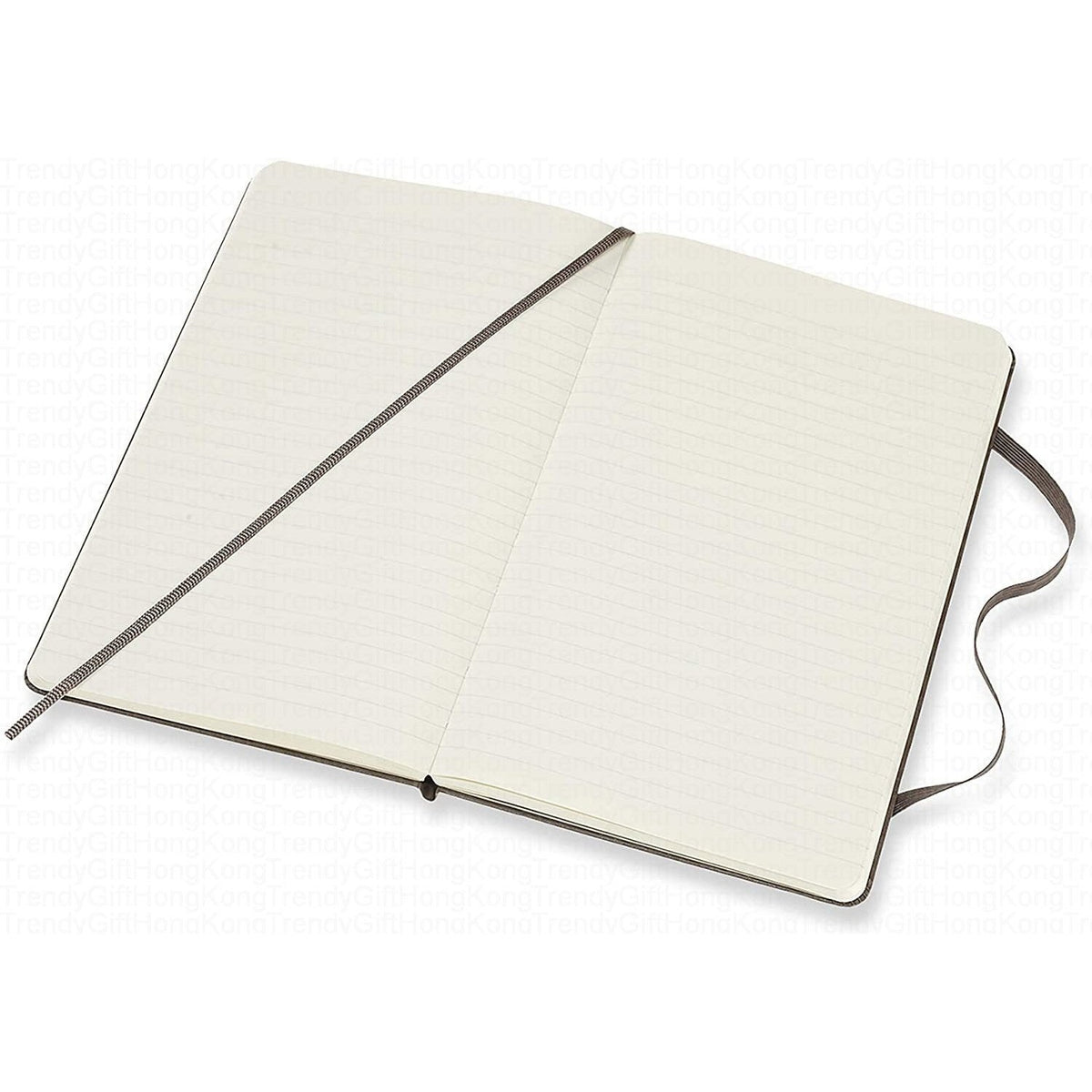 Moleskine Classic Notebook - Large Hardcover - 13 x 21 CM trendygifthk
