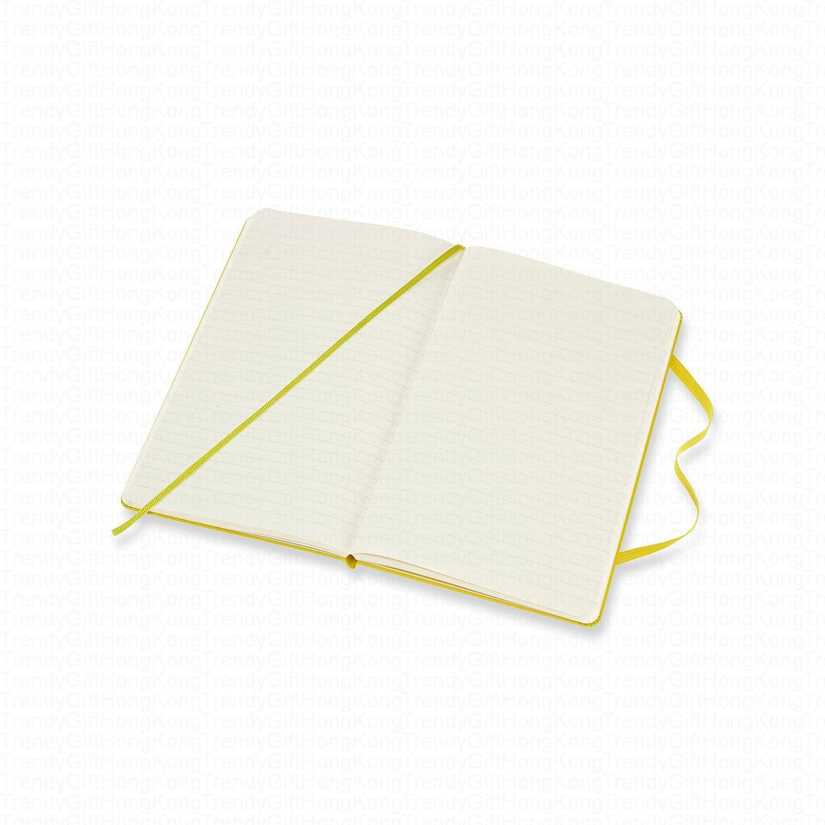 Moleskine Classic Notebook - Large Hardcover - 13 x 21 CM trendygifthk