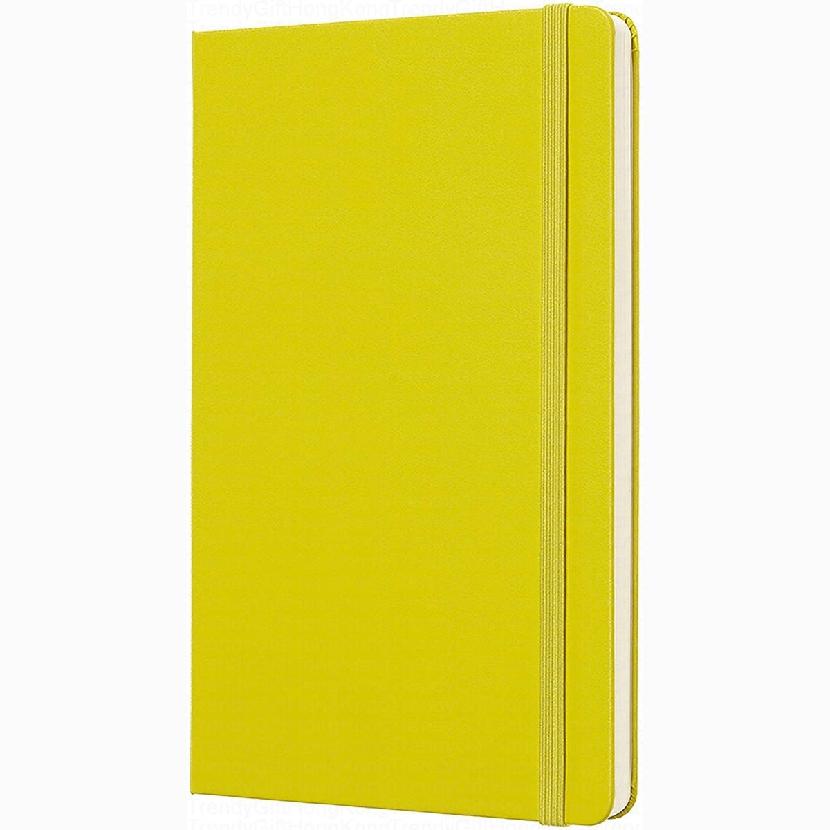 Moleskine Classic Notebook - Large Hardcover - 13 x 21 CM trendygifthk