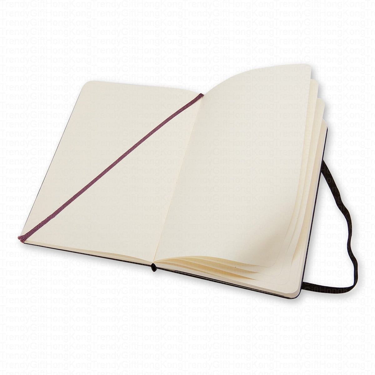 Moleskine Classic Notebook - Large Hardcover - 13 x 21 CM trendygifthk