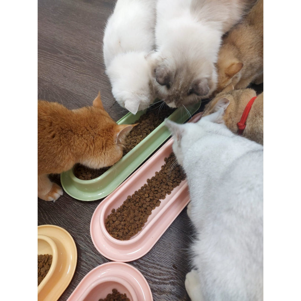 BRAVO DOBBY Holistic Cat Food - Deep Sea Fish Delight Lyophilized Cashmere Series trendygifthk