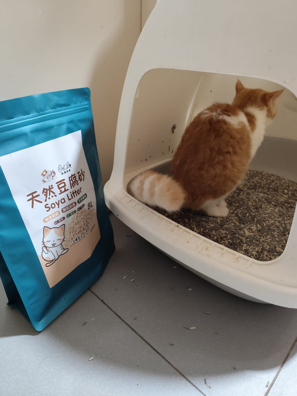 CAT LO SHOP Natural Tofu Cat Litter, 8 L