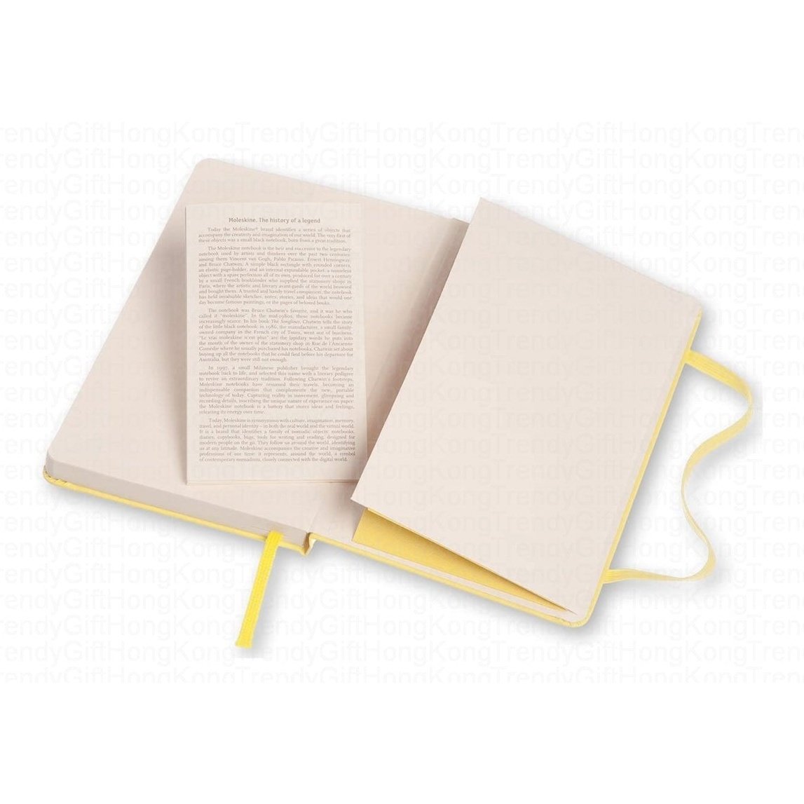 Moleskine Classic Pocket Notebook - Hard Cover 9 x 14 CM trendygifthk