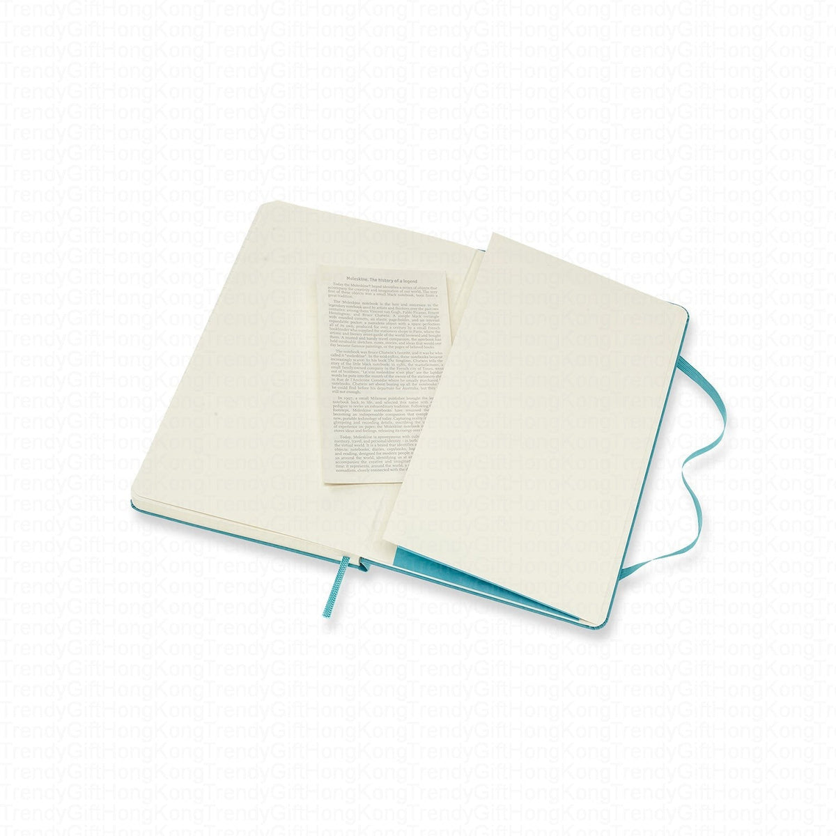 Turquoise Moleskine notebook opened beside a printed information leaflet