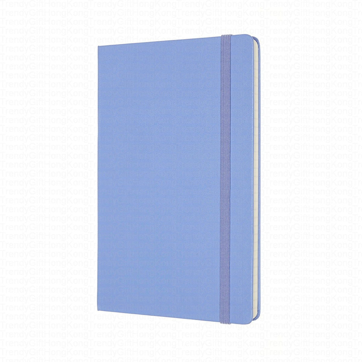 Lavender blue Moleskine notebook with matching elastic closure