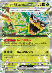 Pokemon TCG Card Scarlet & Violet Terastal Festival ex sv8a 020/187 TEAL MASK OGERPON ex RR trendygifthk