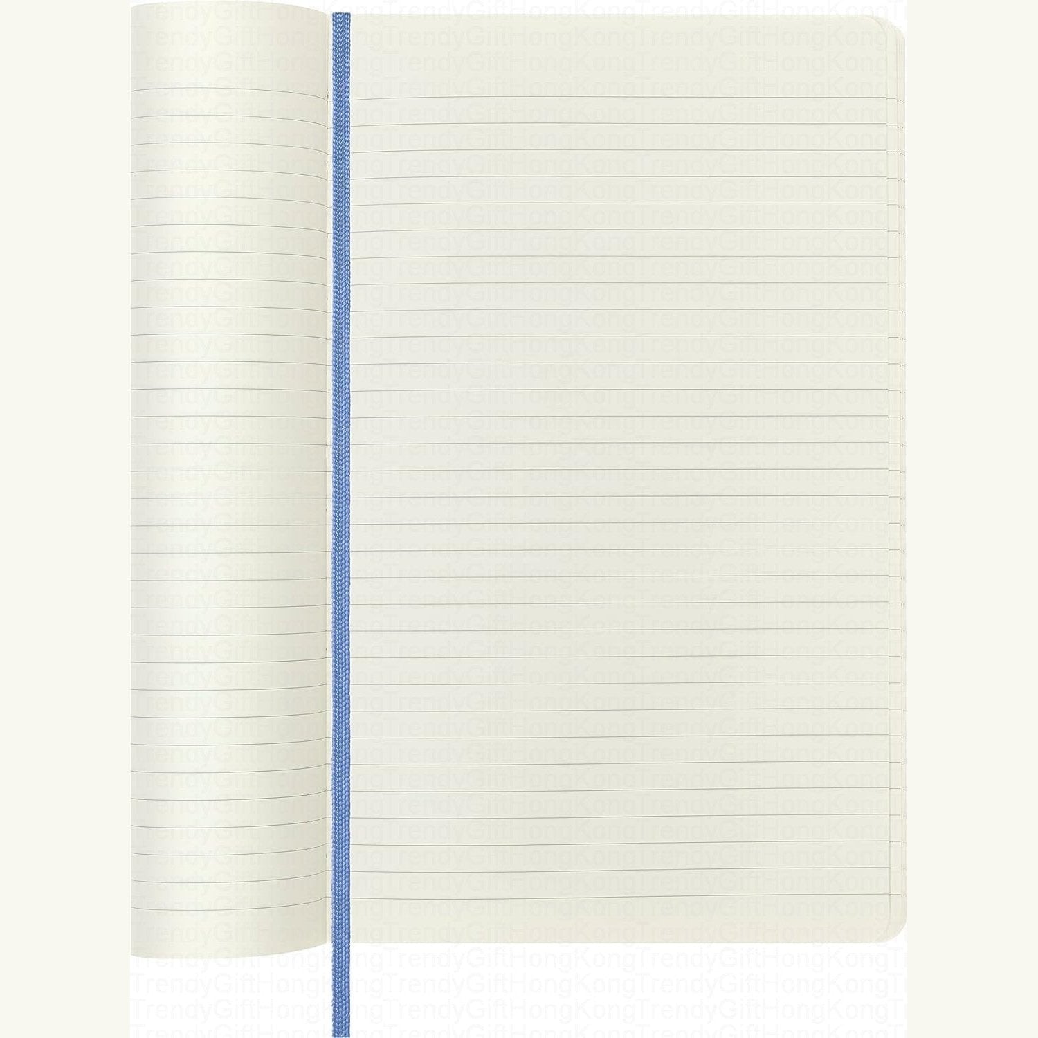 Moleskine Classic Notebook Large Soft Cover - 13 x 21 CM trendygifthk