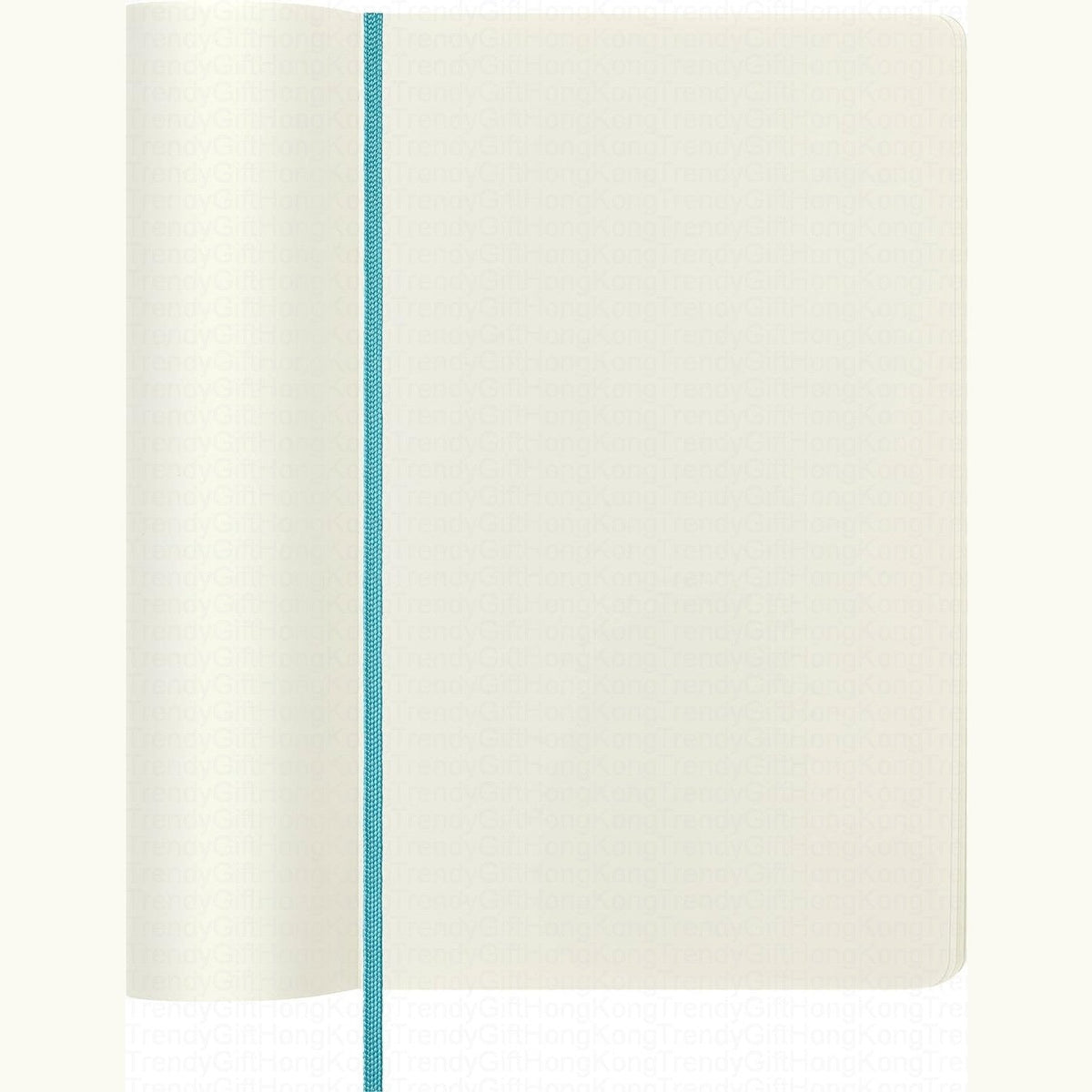 Moleskine Classic Notebook Large Soft Cover - 13 x 21 CM trendygifthk