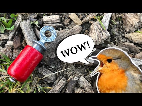 奧杜邦鳥鳴 - 經典紅色/天然樺木 - 美國手工製作