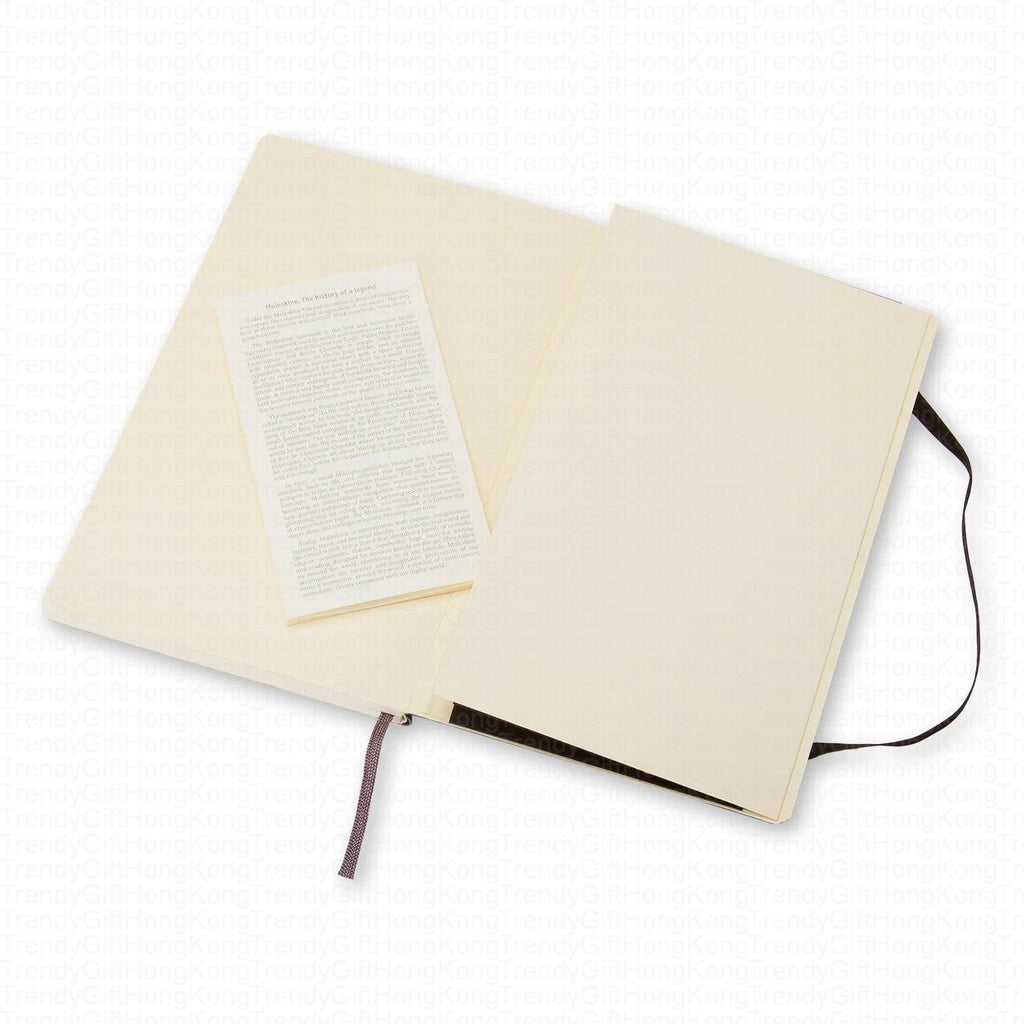 Moleskine Classic Large soft-cover notebook, 13 × 21 cm