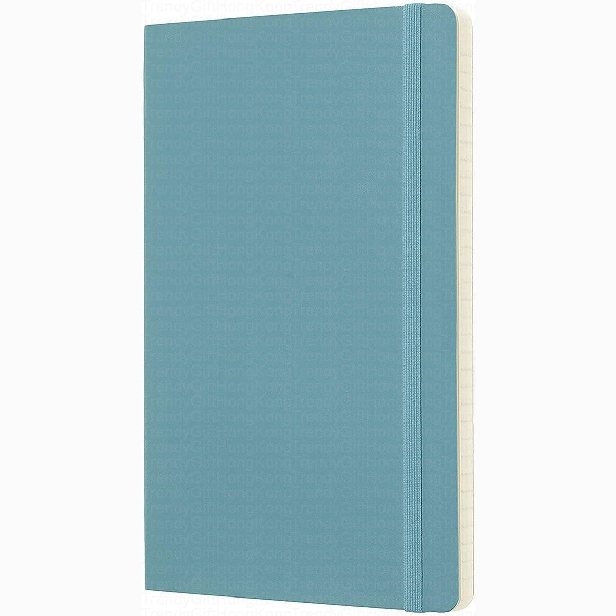 Moleskine Classic Large soft-cover notebook, 13 × 21 cm