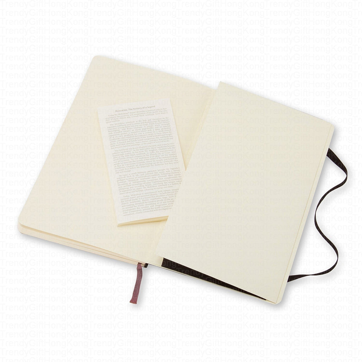 Moleskine Classic Large soft-cover notebook, 13 × 21 cm