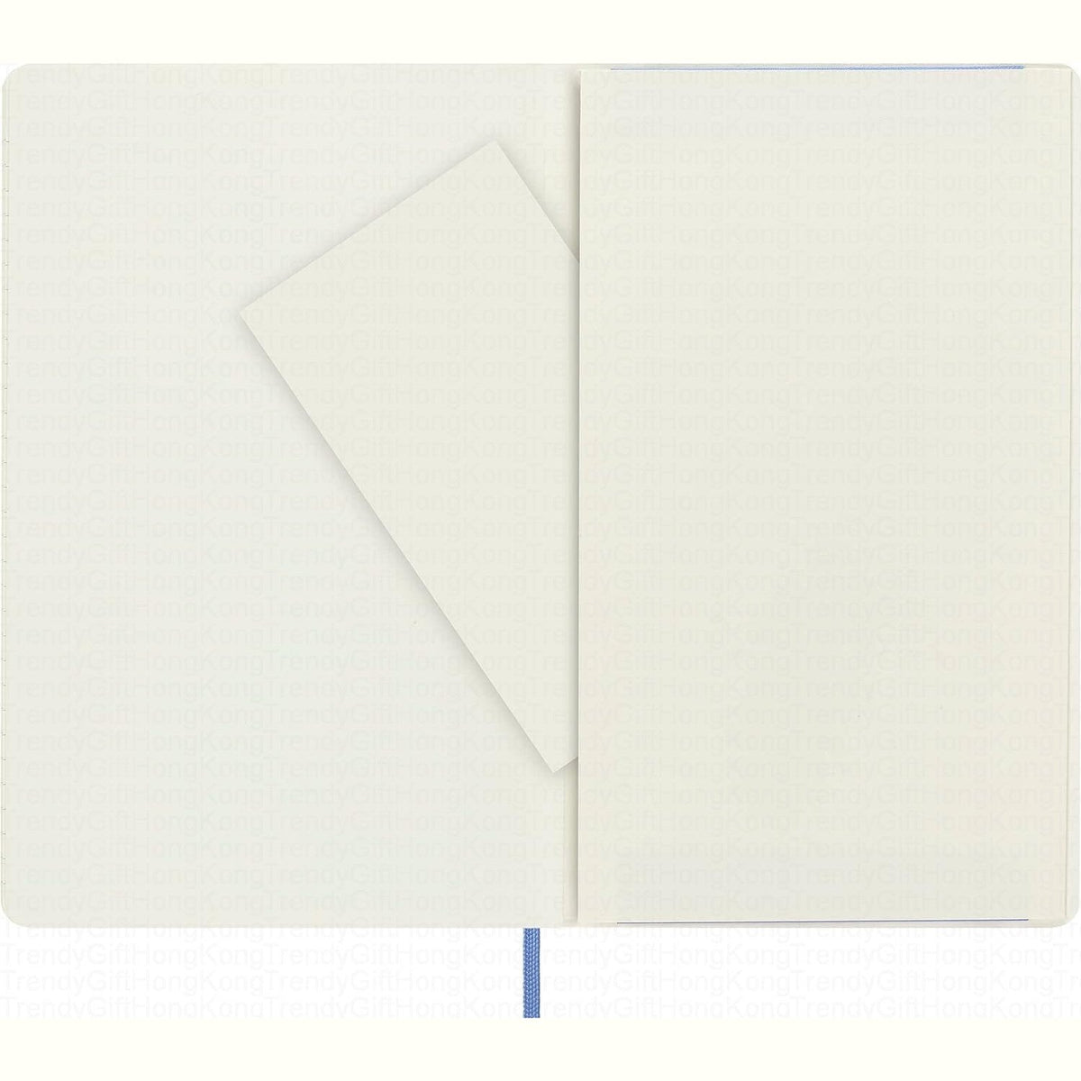 Moleskine Classic Large soft-cover notebook, 13 × 21 cm