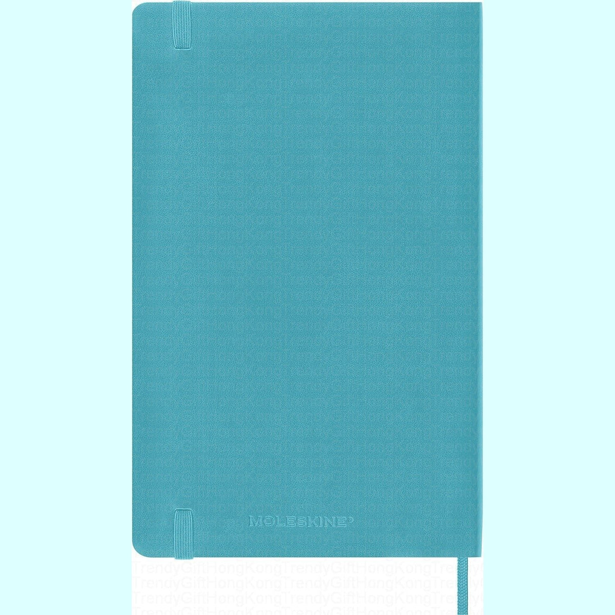 Moleskine Classic Large soft-cover notebook, 13 × 21 cm