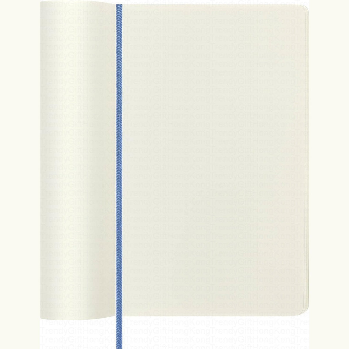 Moleskine Classic Large soft-cover notebook, 13 × 21 cm