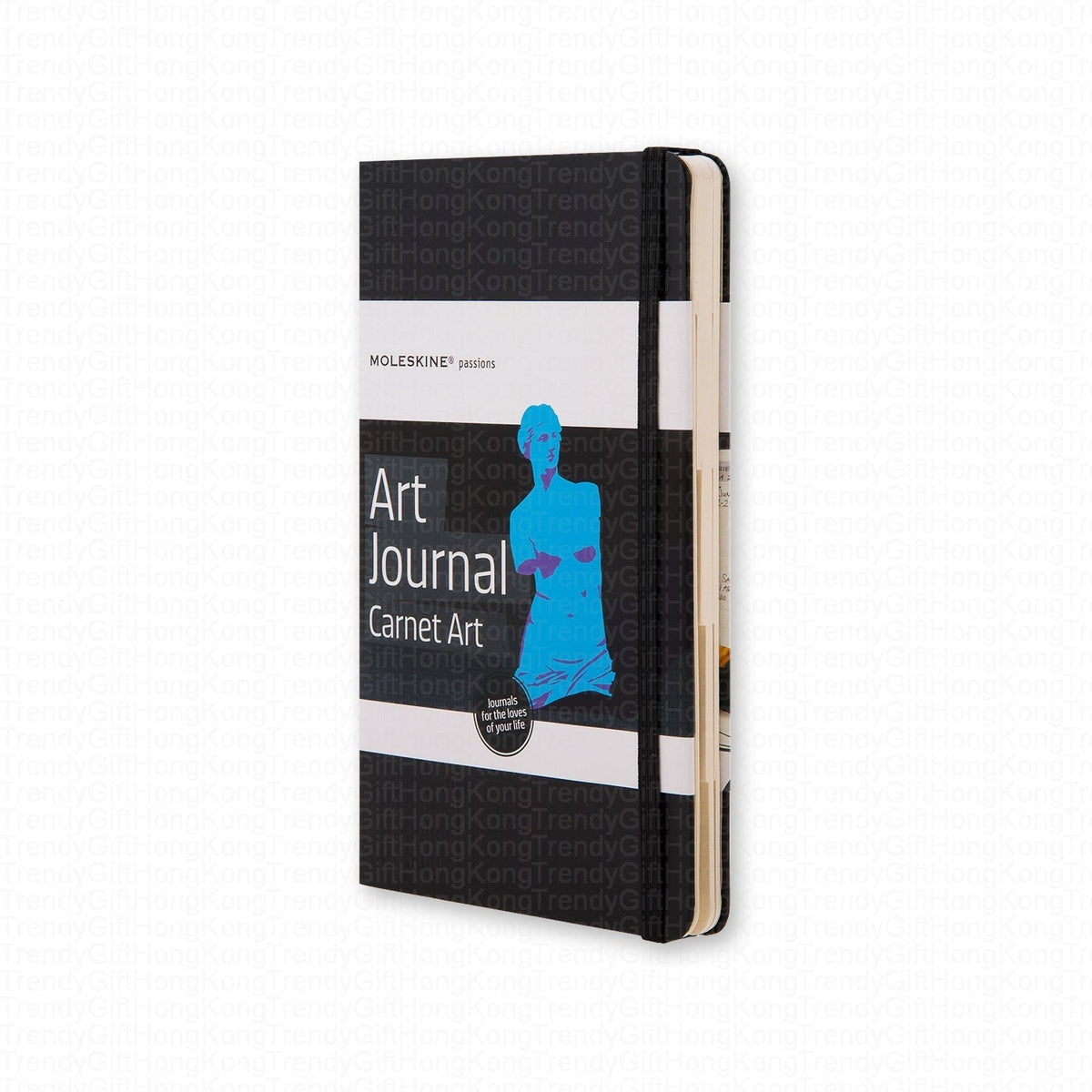 Moleskine Art Passion Journal 藝術主題日記本，13 × 21 厘米 Main image